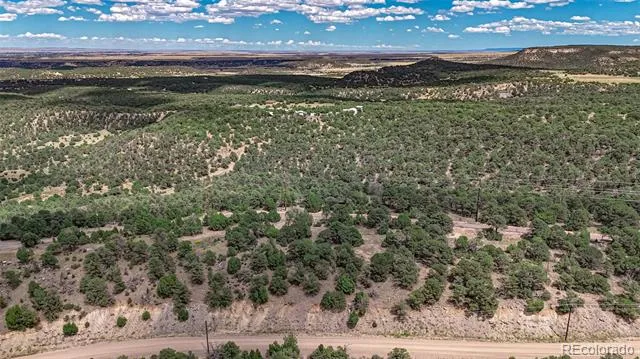 11771 Diamond View Road Trinidad, CO 81082