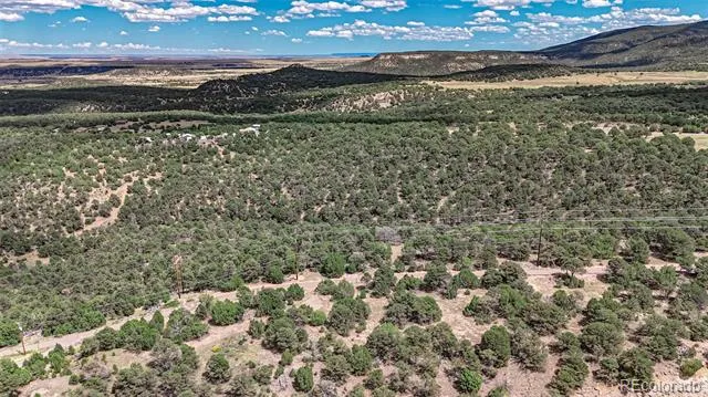 11771 Diamond View Road Trinidad, CO 81082