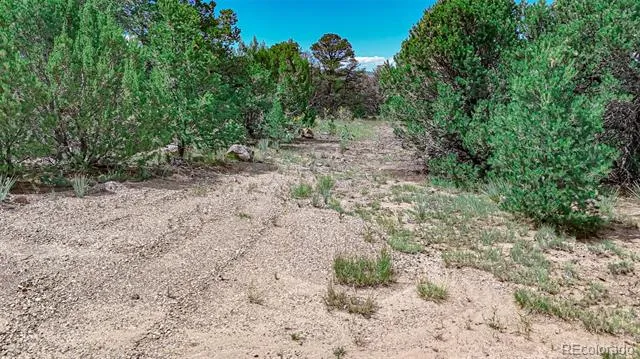 11771 Diamond View Road Trinidad, CO 81082