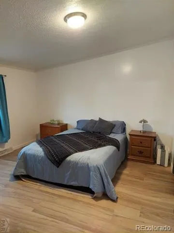 20785 El Nino Point Fountain, CO 80817