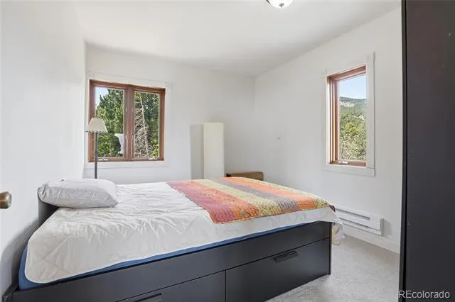 9225 Sandy Lane Conifer, CO 80433