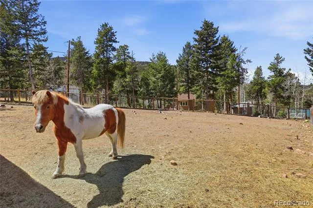 9225 Sandy Lane Conifer, CO 80433