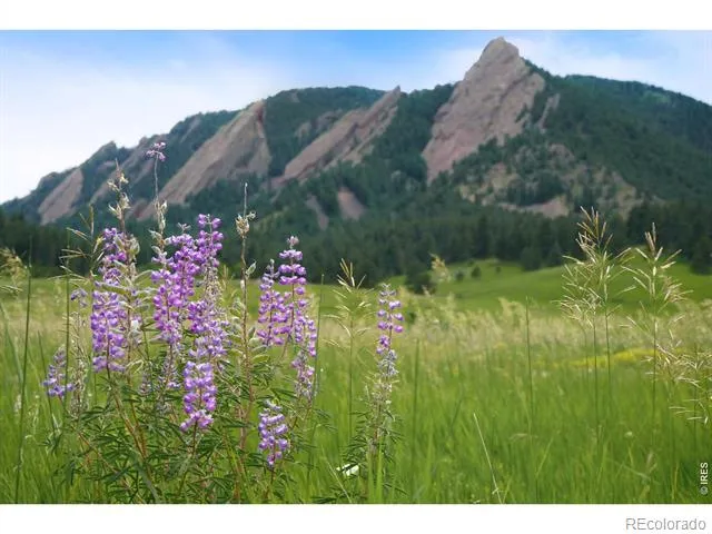 770 6th Street Boulder, CO 80302