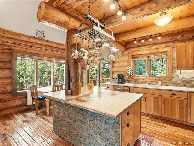 74 Silver Lode Circle Dumont, CO 80436