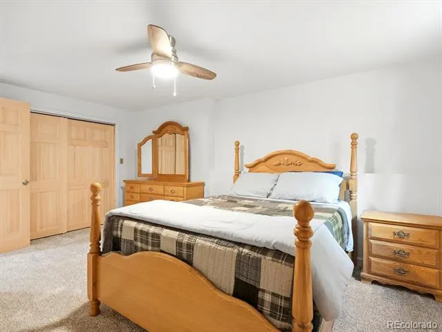 74 Silver Lode Circle Dumont, CO 80436