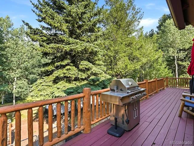 74 Silver Lode Circle Dumont, CO 80436