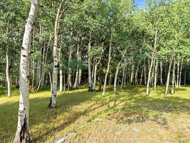 74 Silver Lode Circle Dumont, CO 80436