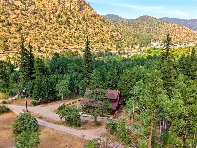 74 Silver Lode Circle Dumont, CO 80436