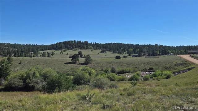 99 Uintah Ridge Road Florissant, CO 80816