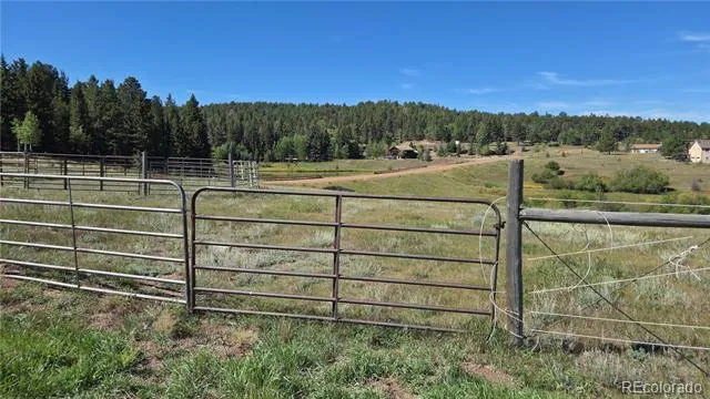 99 Uintah Ridge Road Florissant, CO 80816