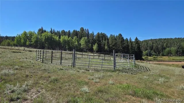 99 Uintah Ridge Road Florissant, CO 80816