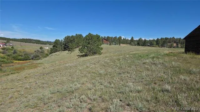 99 Uintah Ridge Road Florissant, CO 80816