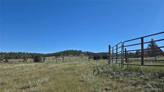 99 Uintah Ridge Road Florissant, CO 80816