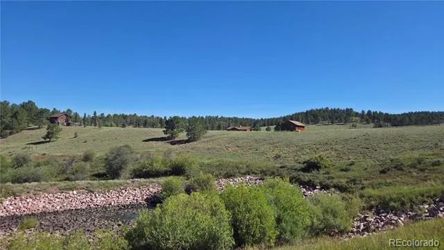 99 Uintah Ridge Road Florissant, CO 80816
