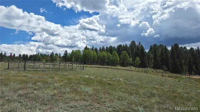 99 Uintah Ridge Road Florissant, CO 80816