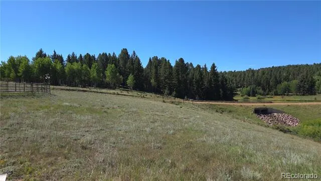99 Uintah Ridge Road Florissant, CO 80816