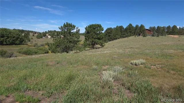 99 Uintah Ridge Road Florissant, CO 80816