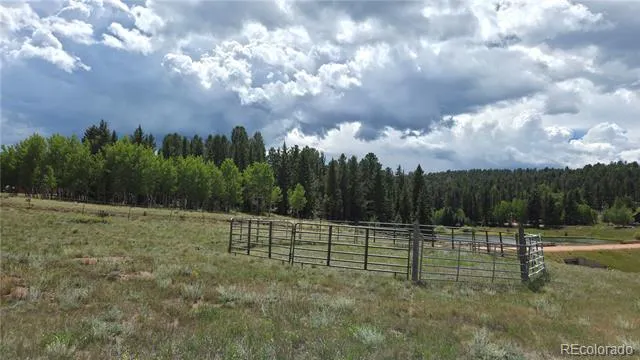 99 Uintah Ridge Road Florissant, CO 80816