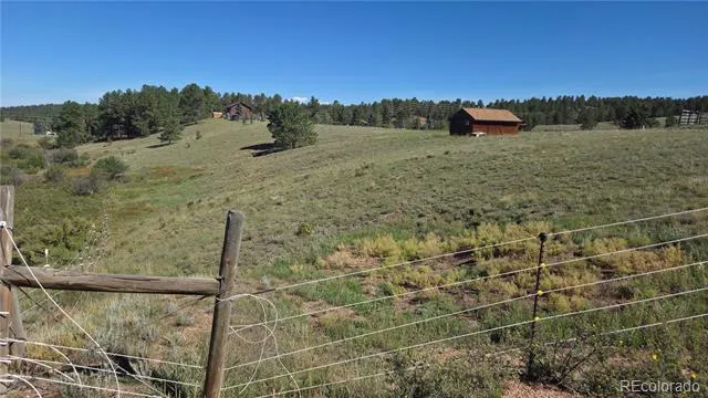 99 Uintah Ridge Road Florissant, CO 80816