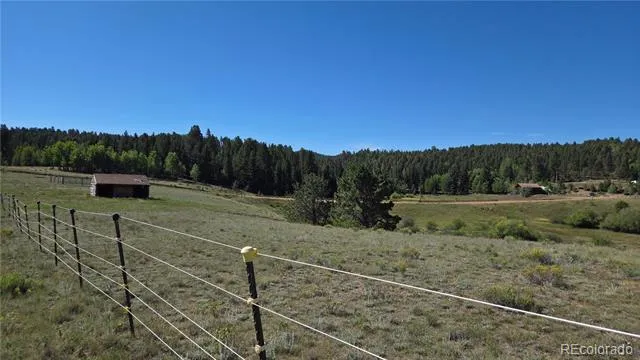 99 Uintah Ridge Road Florissant, CO 80816