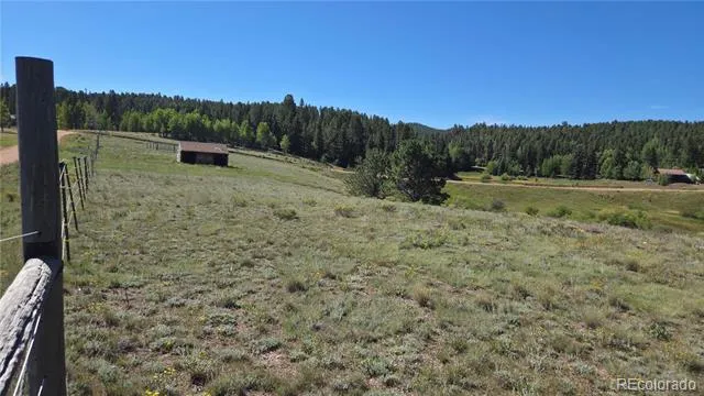 99 Uintah Ridge Road Florissant, CO 80816