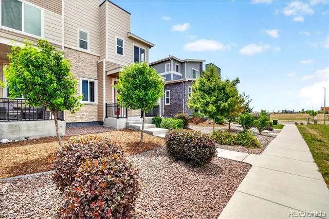 46 Trussville Street Aurora, CO 80018