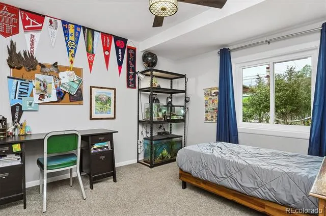 173 S Sangre De Cristo Avenue Buena Vista, CO 81211