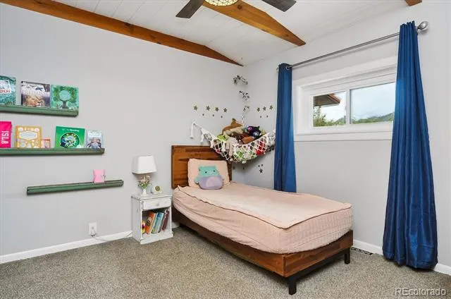 173 S Sangre De Cristo Avenue Buena Vista, CO 81211
