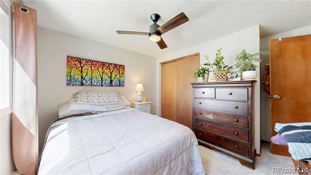 30575 Hilltop Drive Evergreen, CO 80439