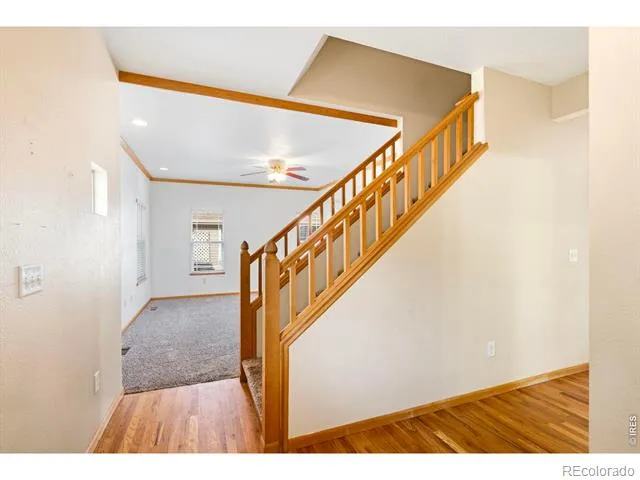 1422 Fairfield Avenue Windsor, CO 80550