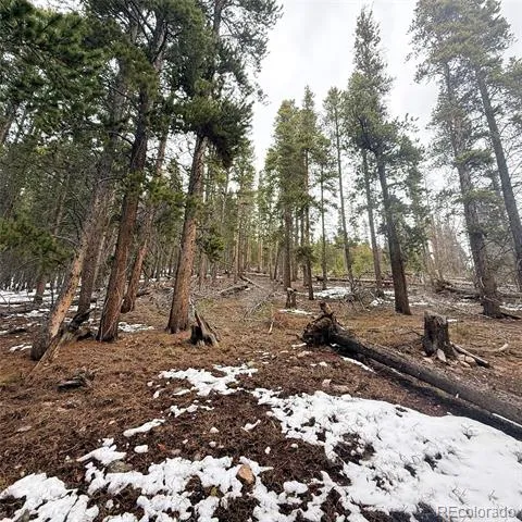 LOT 406 Glory Hole Road Idaho Springs, CO 80452