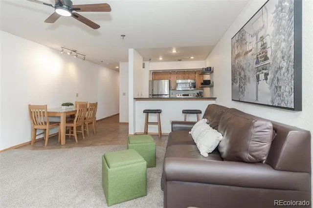 715 S 5th Avenue #J170 Frisco, CO 80443