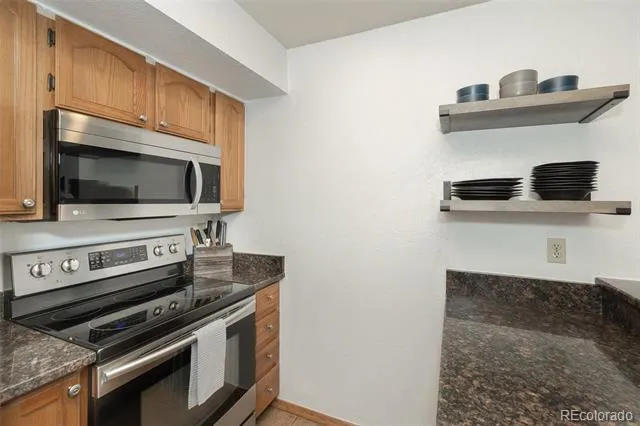 715 S 5th Avenue #J170 Frisco, CO 80443
