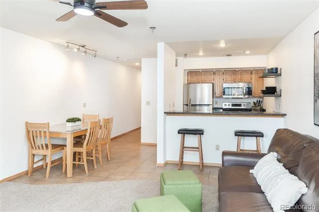715 S 5th Avenue #J170 Frisco, CO 80443