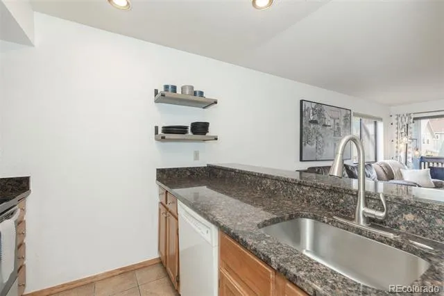715 S 5th Avenue #J170 Frisco, CO 80443