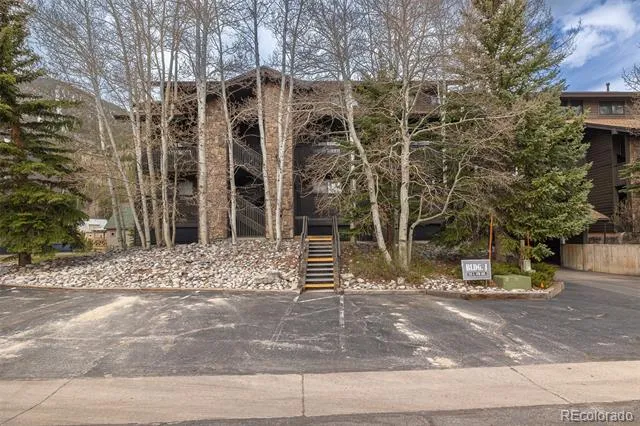 715 S 5th Avenue #J170 Frisco, CO 80443