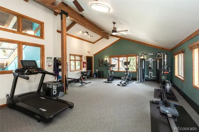 715 S 5th Avenue #J170 Frisco, CO 80443