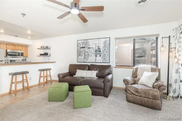 715 S 5th Avenue #J170 Frisco, CO 80443