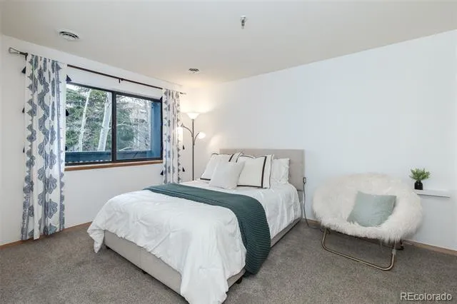 715 S 5th Avenue #J170 Frisco, CO 80443