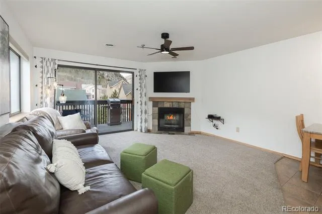 715 S 5th Avenue #J170 Frisco, CO 80443