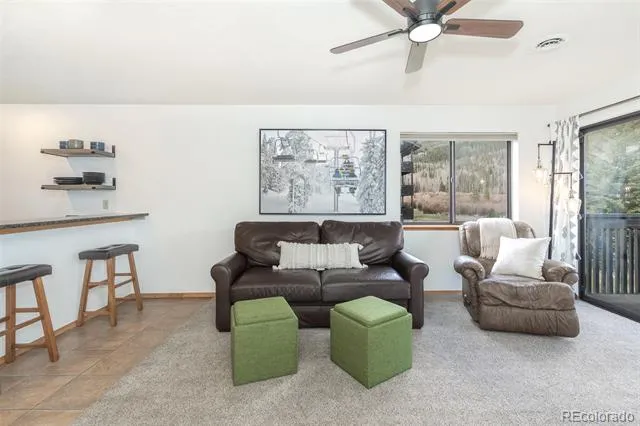 715 S 5th Avenue #J170 Frisco, CO 80443