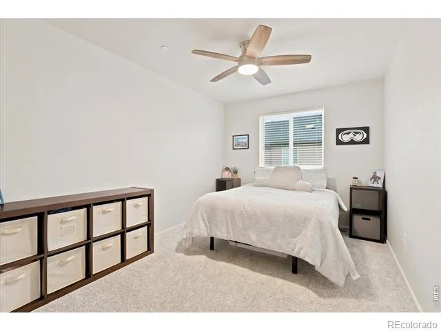 2920 Barnstormer Street #3 Fort Collins, CO 80524