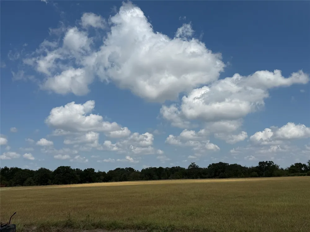 17215 Tarlton Road Mabank, TX 75147
