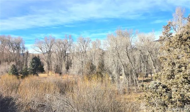 75 Comanche Trail South Fork, CO 81154