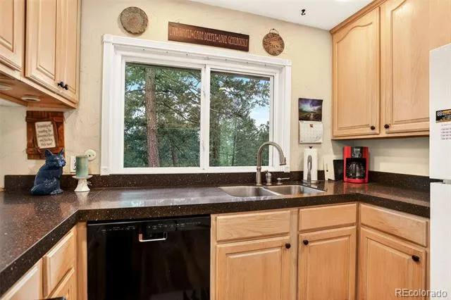 28221 Bonanza Drive Evergreen, CO 80439