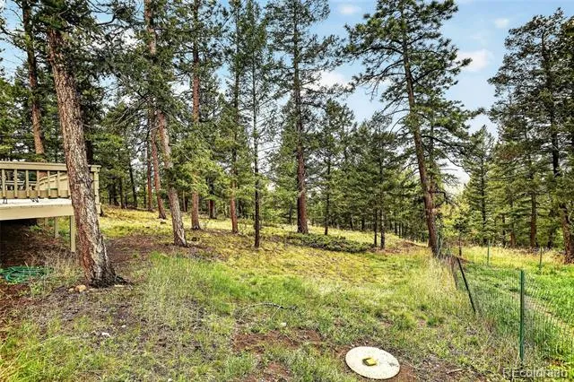 28221 Bonanza Drive Evergreen, CO 80439