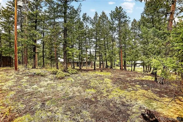 28221 Bonanza Drive Evergreen, CO 80439