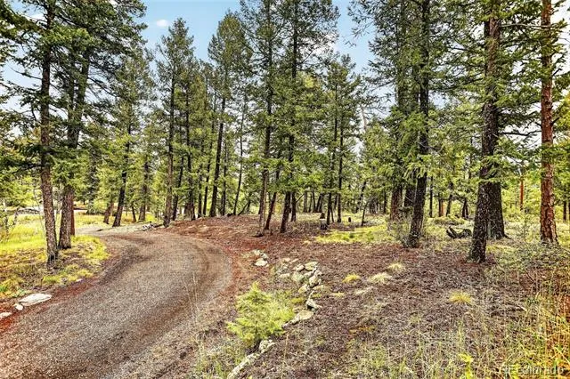 28221 Bonanza Drive Evergreen, CO 80439