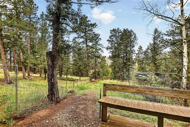28221 Bonanza Drive Evergreen, CO 80439