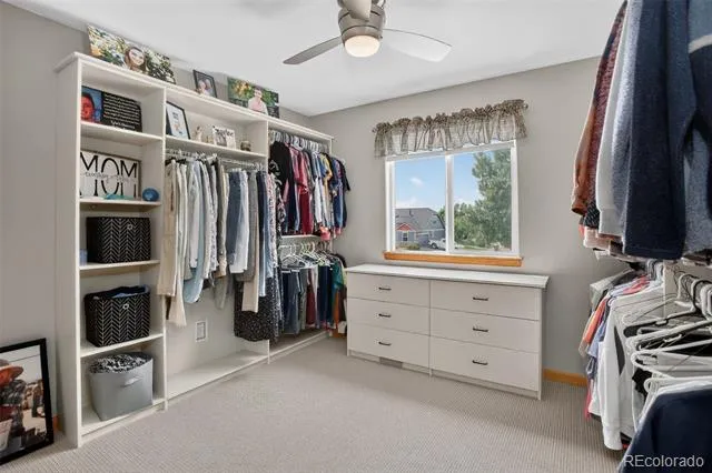 582 Traildust Drive Milliken, CO 80543
